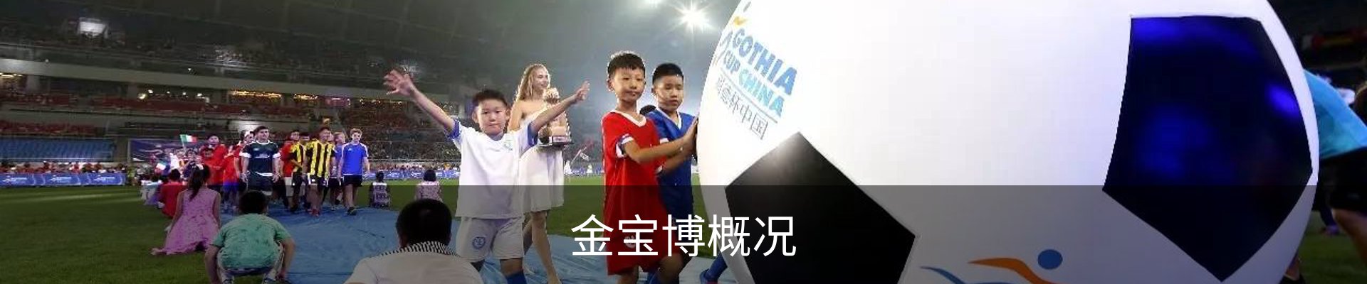 金宝博概况