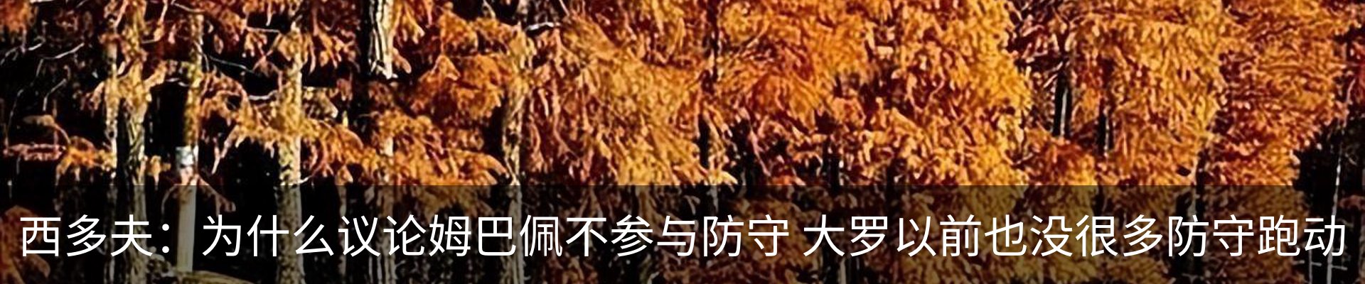 资讯动态